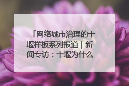 网络城市治理的十堰样板系列报道｜新闻专访：十堰为什么成为“黑马型”城市治理网络维度典型