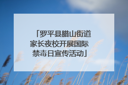 罗平县腊山街道家长夜校开展国际禁毒日宣传活动