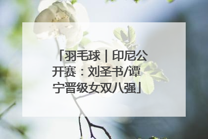 羽毛球｜印尼公开赛：刘圣书/谭宁晋级女双八强