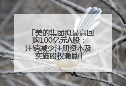 美的集团拟最高回购100亿元A股：注销减少注册资本及实施股权激励