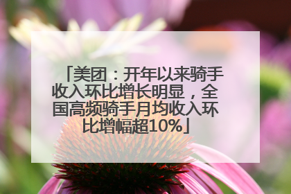 美团：开年以来骑手收入环比增长明显，全国高频骑手月均收入环比增幅超10%