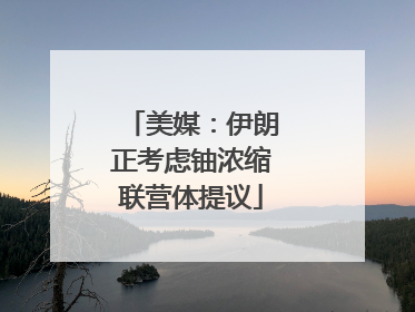 美媒：伊朗正考虑铀浓缩联营体提议