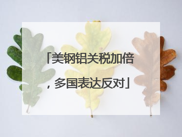 美钢铝关税加倍，多国表达反对