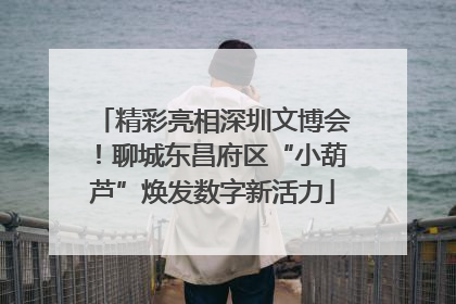 精彩亮相深圳文博会！聊城东昌府区“小葫芦”焕发数字新活力