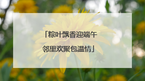 粽叶飘香迎端午 邻里欢聚包温情