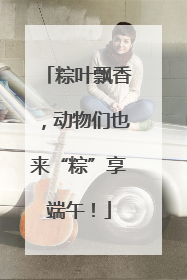 粽叶飘香，动物们也来“粽”享端午！