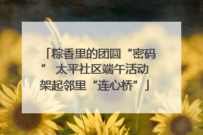粽香里的团圆“密码” 太平社区端午活动架起邻里“连心桥”