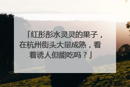 红彤彤水灵灵的果子，在杭州街头大量成熟，看着诱人但能吃吗？