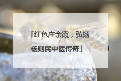 红色庄余霞，弘扬杨则民中医传奇
