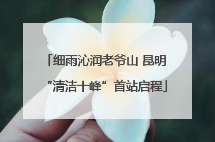 细雨沁润老爷山 昆明“清洁十峰”首站启程