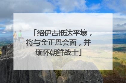 绍伊古抵达平壤，将与金正恩会面，并缅怀朝鲜战士