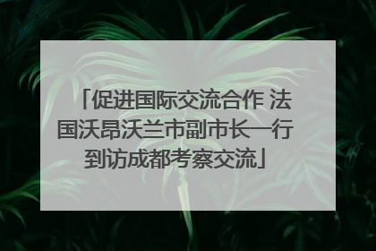 促进国际交流合作 法国沃昂沃兰市副市长一行到访成都考察交流