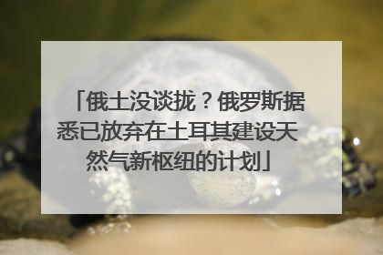 俄土没谈拢？俄罗斯据悉已放弃在土耳其建设天然气新枢纽的计划