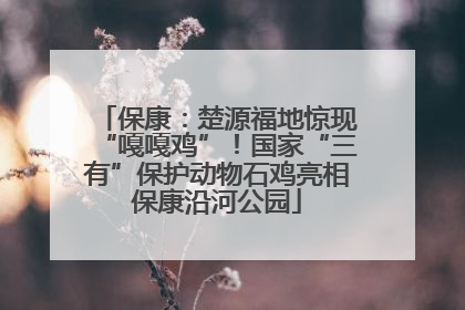 保康：楚源福地惊现“嘎嘎鸡”！国家“三有”保护动物石鸡亮相保康沿河公园