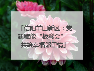 信阳羊山新区：党建赋能“板凳会” 共绘幸福邻里情