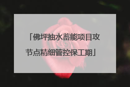 佛坪抽水蓄能项目攻节点精细管控保工期