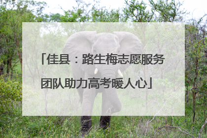 佳县：路生梅志愿服务团队助力高考暖人心