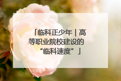 临科正少年｜高等职业院校建设的“临科速度”