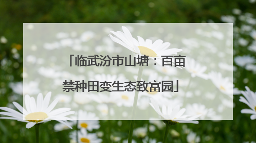 临武汾市山塘：百亩禁种田变生态致富园
