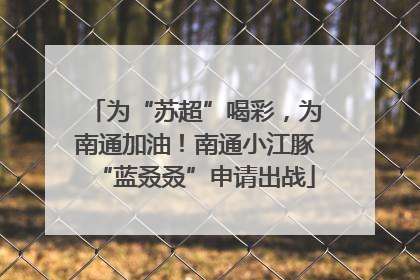 为“苏超”喝彩，为南通加油！南通小江豚“蓝叒叒”申请出战