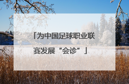 为中国足球职业联赛发展“会诊”