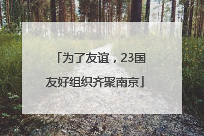 为了友谊，23国友好组织齐聚南京