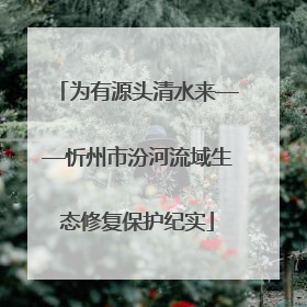 为有源头清水来——忻州市汾河流域生态修复保护纪实