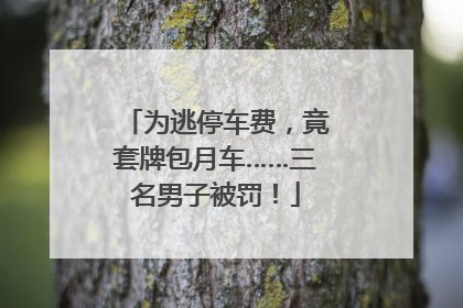 为逃停车费，竟套牌包月车……三名男子被罚！