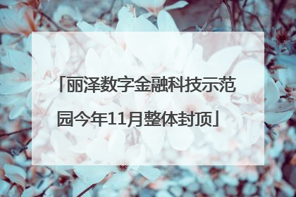 丽泽数字金融科技示范园今年11月整体封顶