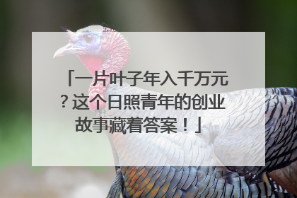 一片叶子年入千万元？这个日照青年的创业故事藏着答案！