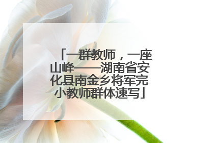 一群教师，一座山峰——湖南省安化县南金乡将军完小教师群体速写