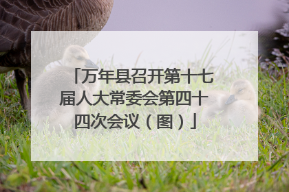 万年县召开第十七届人大常委会第四十四次会议（图）