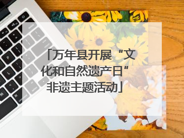 万年县开展“文化和自然遗产日”非遗主题活动