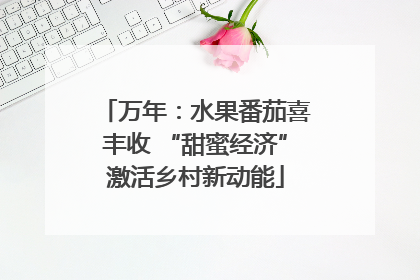 万年：水果番茄喜丰收 “甜蜜经济”激活乡村新动能