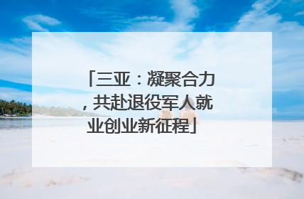 三亚：凝聚合力，共赴退役军人就业创业新征程
