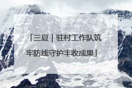 三夏｜驻村工作队筑牢防线守护丰收成果