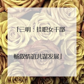 三明：挂职女干部畅叙情谊共谋发展