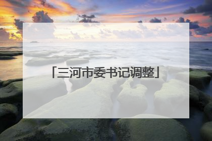 三河市委书记调整