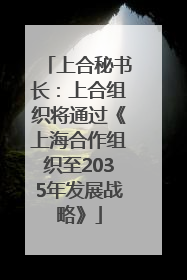 上合秘书长：上合组织将通过《上海合作组织至2035年发展战略》
