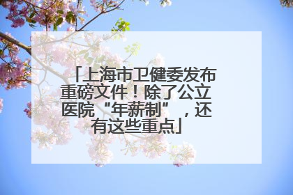 上海市卫健委发布重磅文件！除了公立医院“年薪制”，还有这些重点