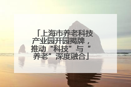 上海市养老科技产业园开园揭牌，推动“科技”与“养老”深度融合