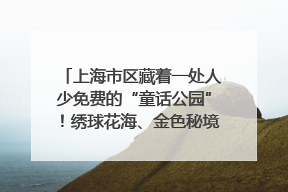 上海市区藏着一处人少免费的“童话公园”！绣球花海、金色秘境……地铁直达→