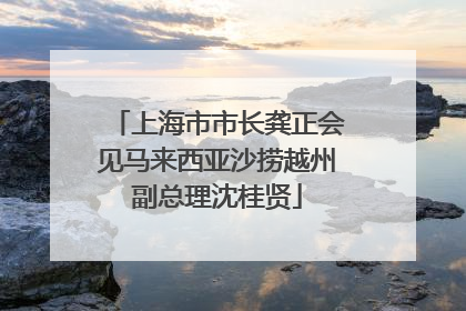 上海市市长龚正会见马来西亚沙捞越州副总理沈桂贤