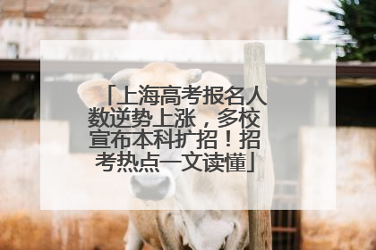 上海高考报名人数逆势上涨，多校宣布本科扩招！招考热点一文读懂