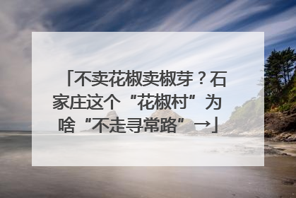 不卖花椒卖椒芽？石家庄这个“花椒村”为啥“不走寻常路”→