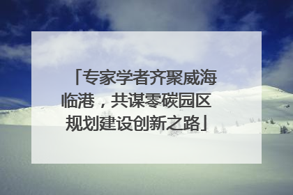专家学者齐聚威海临港，共谋零碳园区规划建设创新之路