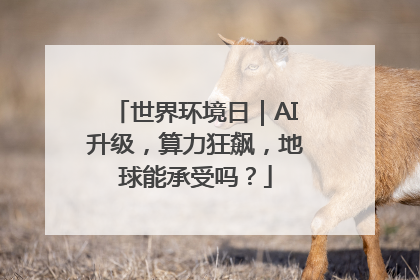 世界环境日｜AI升级，算力狂飙，地球能承受吗？