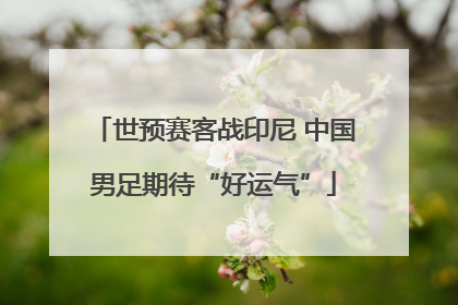 世预赛客战印尼 中国男足期待“好运气”