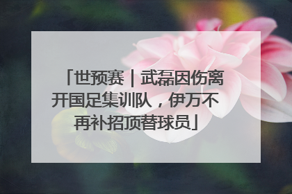 世预赛｜武磊因伤离开国足集训队，伊万不再补招顶替球员
