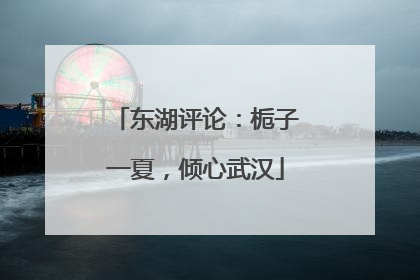 东湖评论：栀子一夏，倾心武汉